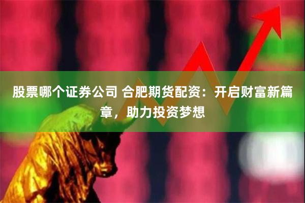 股票哪个证券公司 合肥期货配资：开启财富新篇章，助力投资梦想