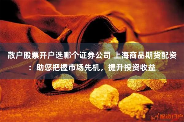 散户股票开户选哪个证券公司 上海商品期货配资:助您把握市场先机,提升投资收益