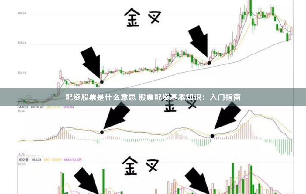 配资股票是什么意思 股票配资基本知识:入门指南
