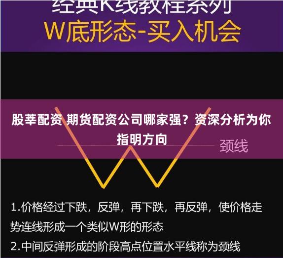 股莘配资 期货配资公司哪家强?资深分析为你指明方向