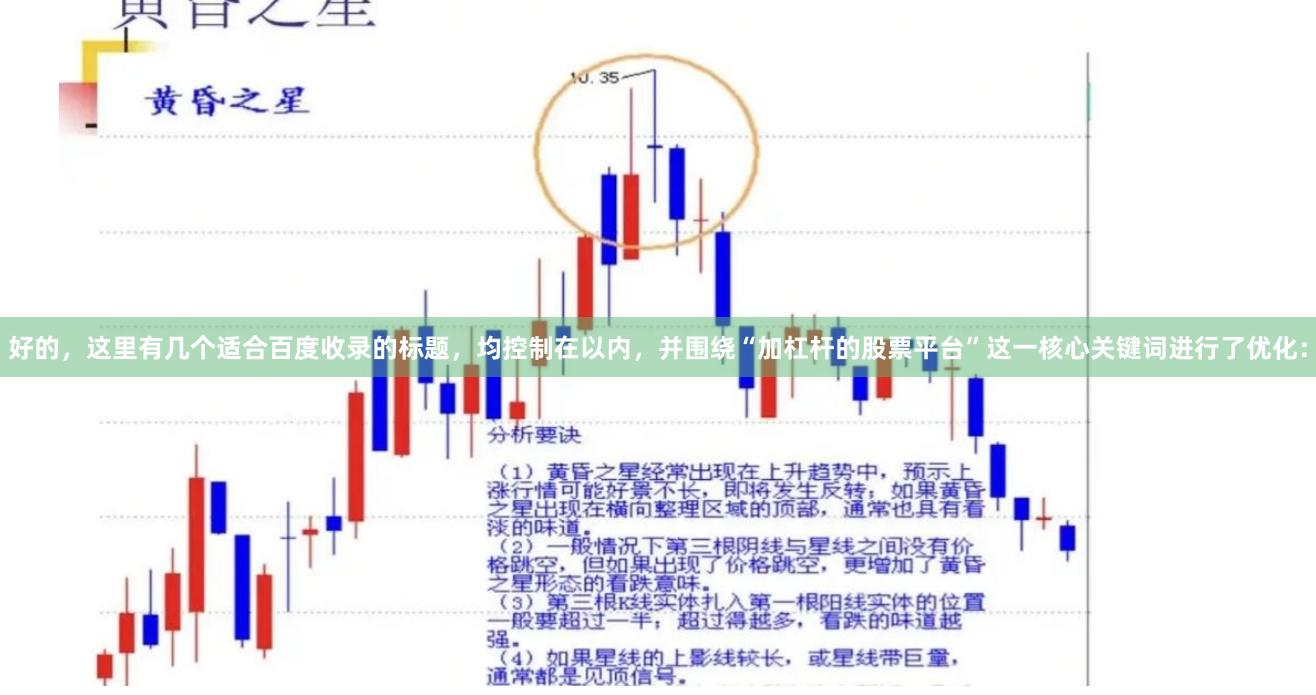 好的，这里有几个适合百度收录的标题，均控制在以内，并围绕“加杠杆的股票平台”这一核心关键词进行了优化：