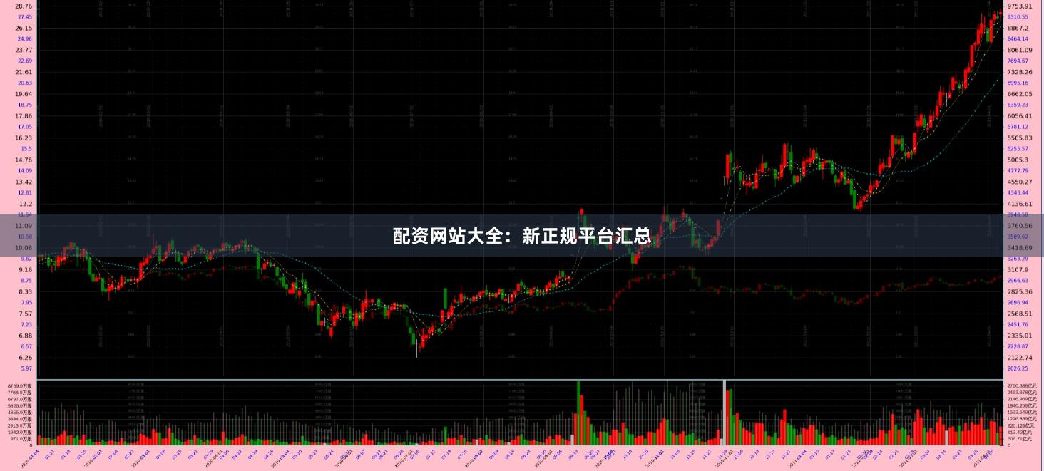 配资网站大全：新正规平台汇总