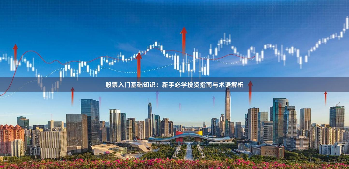 股票入门基础知识：新手必学投资指南与术语解析